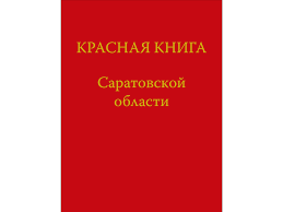 Музейное занятие Музейное занятие.